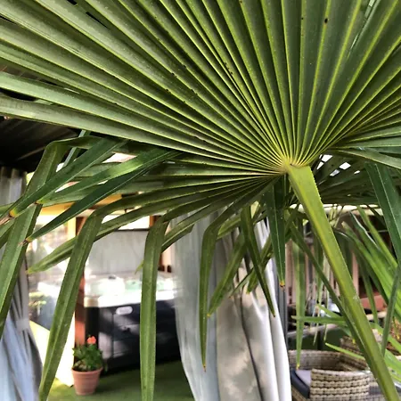 Apartment A-bb-lak Hajduszoboszlo